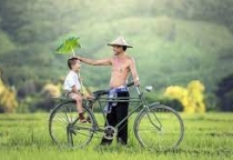 Cuộc đời này chính là do bạn lựa chọn ? 