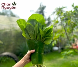 Cải bẹ xanh 