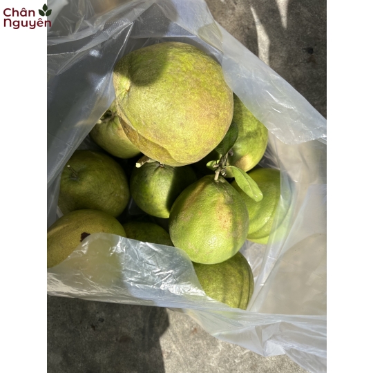 Bưởi Tân Triều (10 trái) 